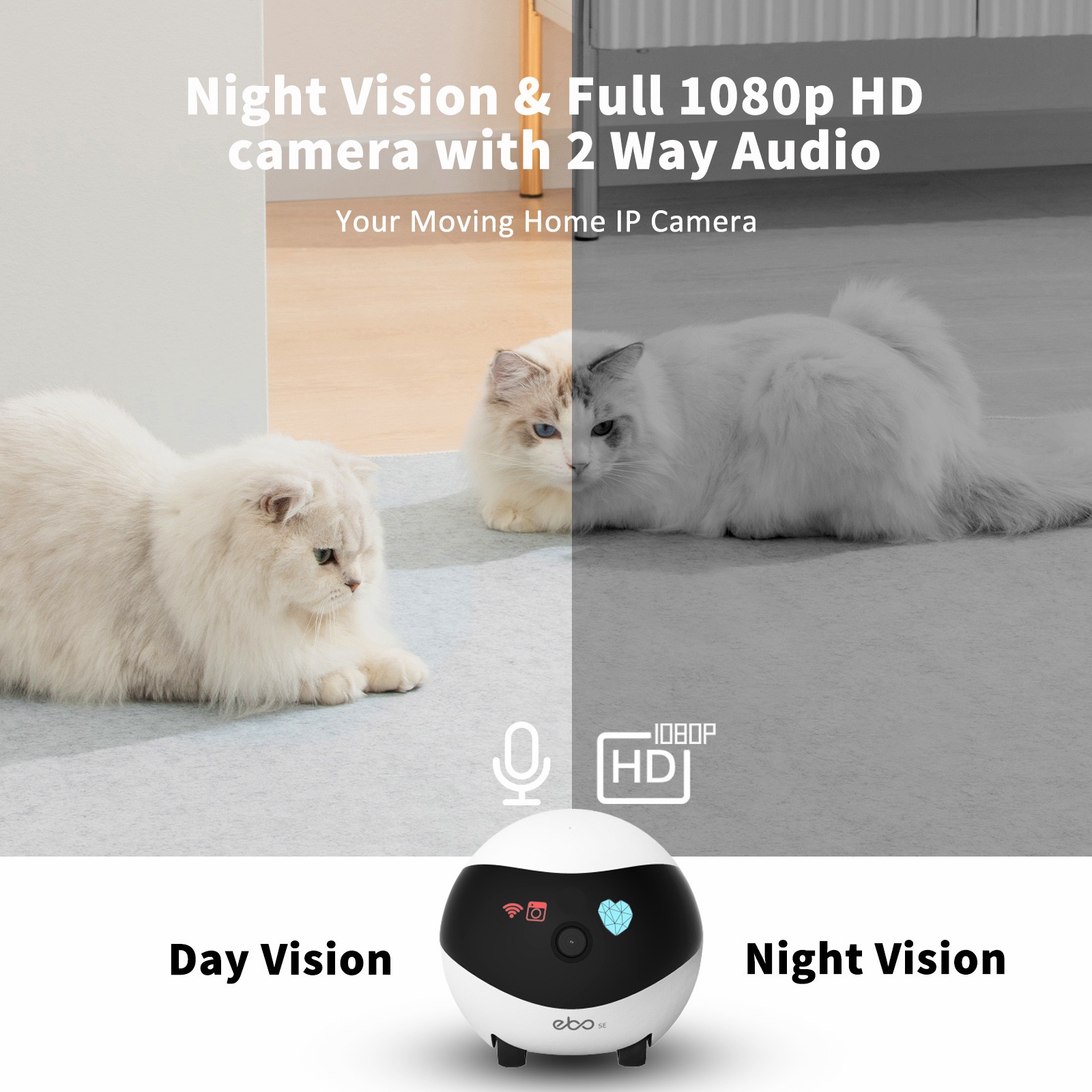 EBO SE Smart Home Robot Compan - Home Security Robots avaliação e preço
