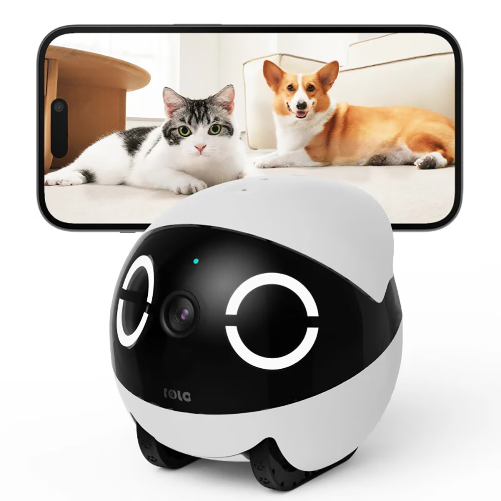 Robô Companheiro Mini para Seg - Home Security Robots avaliação e preço