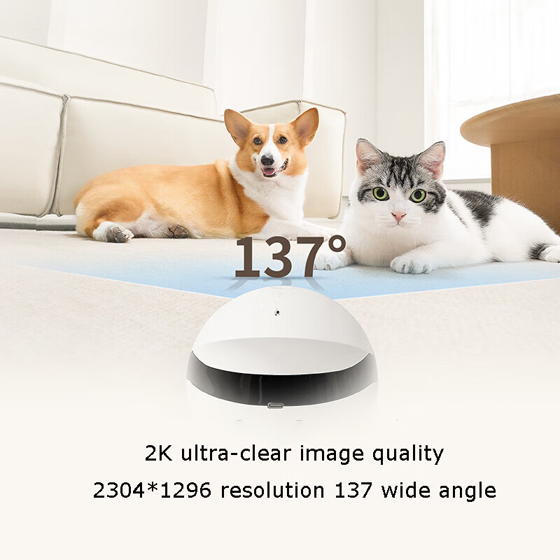 Robô Companheiro Mini para Seg - Home Security Robots avaliação e preço